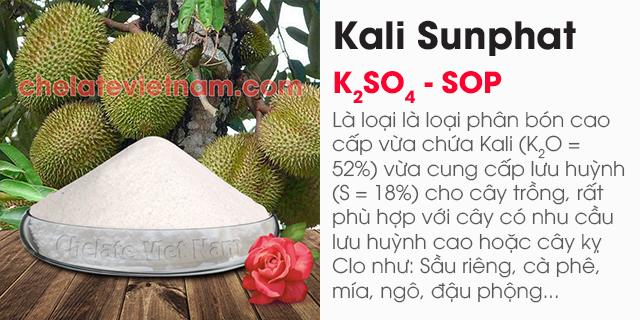 Bán Kali Sunphat (K2SO4 - SOP): K2O = 52%; S = 18%
